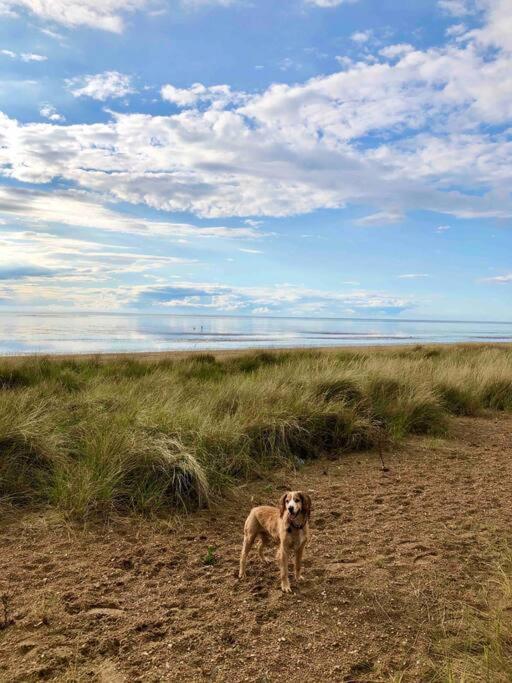 Entire Cosy Bungalow Close To Beach Heacham Exteriör bild